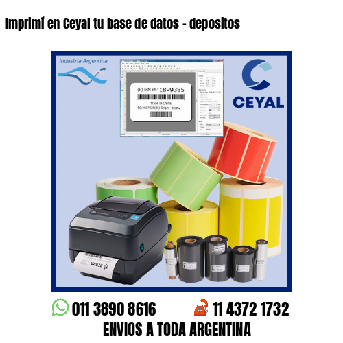 Imprimí en Ceyal tu base de datos – depositos