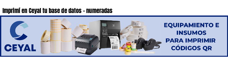 Imprimí en Ceyal tu base de datos - numeradas