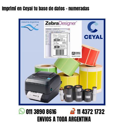 Imprimí en Ceyal tu base de datos – numeradas