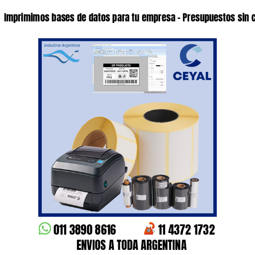 Imprimimos bases de datos para tu empresa – Presupuestos sin cargo!