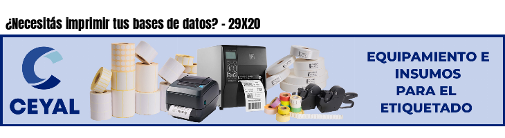 ¿Necesitás imprimir tus bases de datos? - 29X20