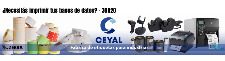¿Necesitás imprimir tus bases de datos? - 38X20