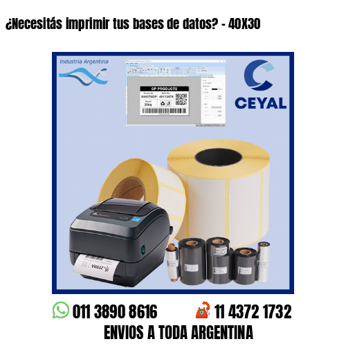 ¿Necesitás imprimir tus bases de datos? – 40X30