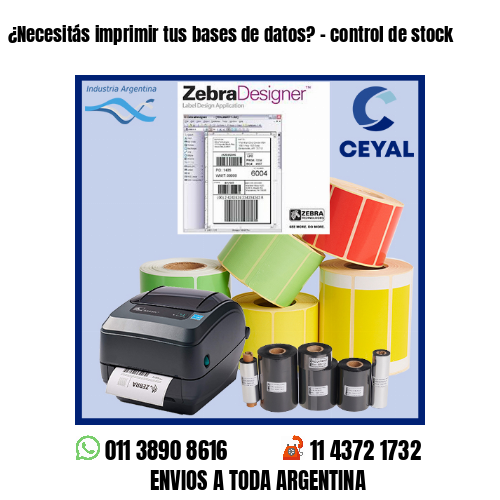 ¿Necesitás imprimir tus bases de datos? – control de stock