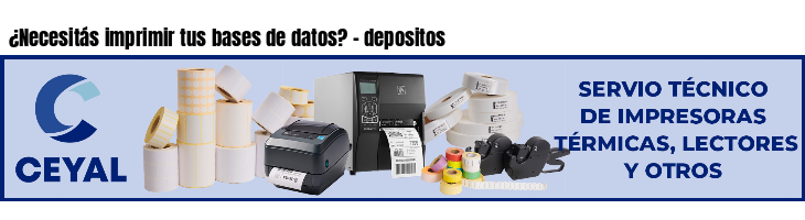 ¿Necesitás imprimir tus bases de datos? - depositos