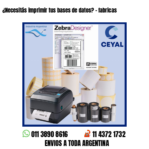 ¿Necesitás imprimir tus bases de datos? – fabricas
