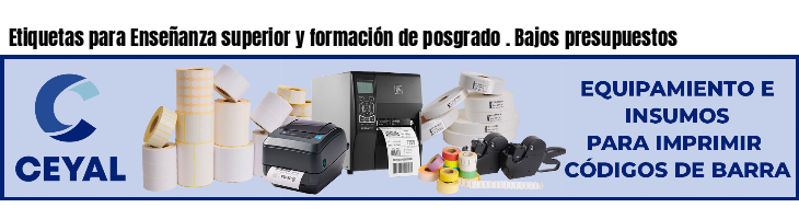 Etiquetas para Enseñanza superior y formación de posgrado . Bajos presupuestos