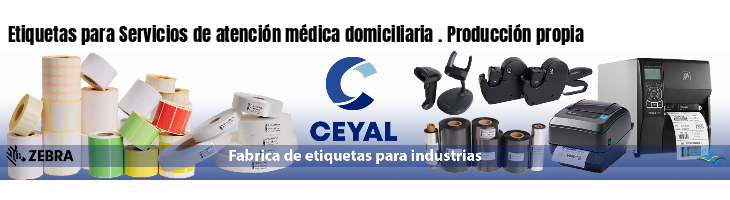 Etiquetas para Servicios de atención médica domiciliaria . Producción propia