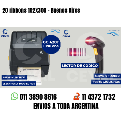 20 ribbons 102x300 - Buenos Aires