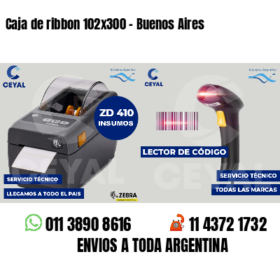 Caja de ribbon 102x300 - Buenos Aires