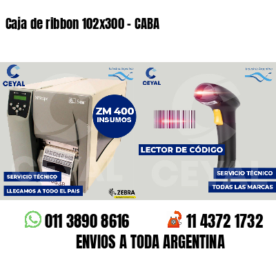 Caja de ribbon 102x300 - CABA