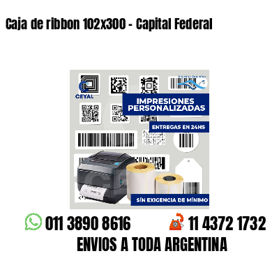 Caja de ribbon 102x300 - Capital Federal