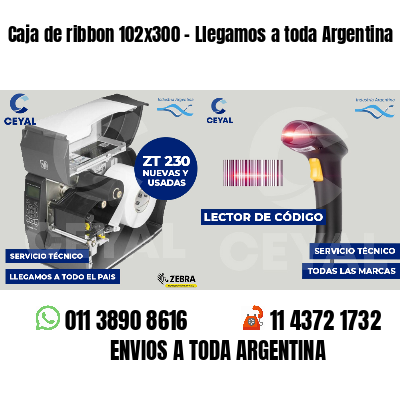Caja de ribbon 102x300 - Llegamos a toda Argentina