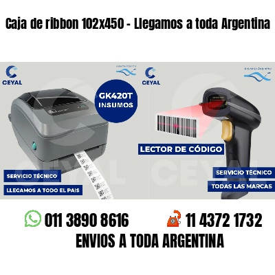 Caja de ribbon 102x450 - Llegamos a toda Argentina