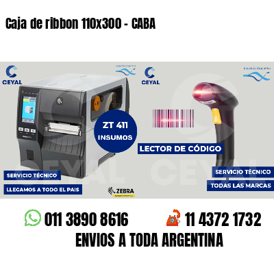 Caja de ribbon 110x300 - CABA