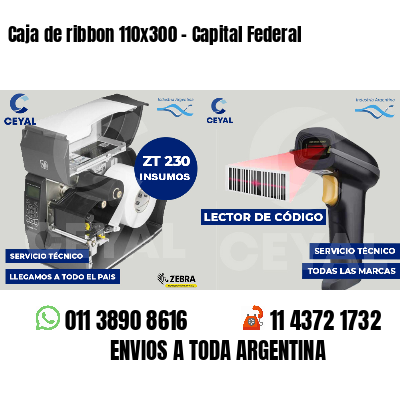 Caja de ribbon 110x300 - Capital Federal