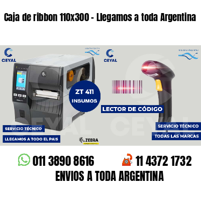 Caja de ribbon 110x300 - Llegamos a toda Argentina