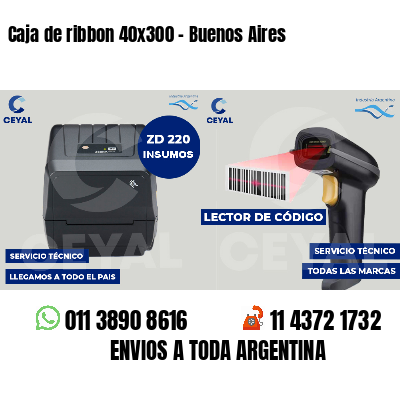 Caja de ribbon 40x300 - Buenos Aires