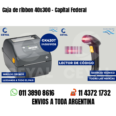Caja de ribbon 40x300 - Capital Federal