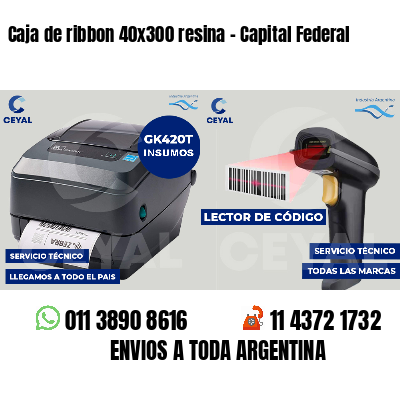 Caja de ribbon 40x300 resina - Capital Federal
