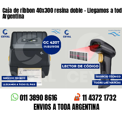 Caja de ribbon 40x300 resina doble - Llegamos a toda Argentina