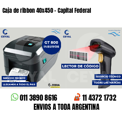 Caja de ribbon 40x450 - Capital Federal