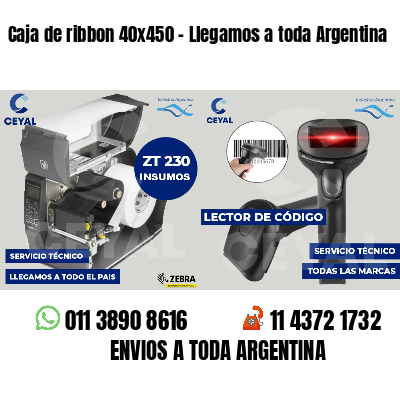 Caja de ribbon 40x450 - Llegamos a toda Argentina