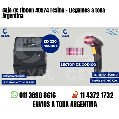 Caja de ribbon 40x74 resina - Llegamos a toda Argentina