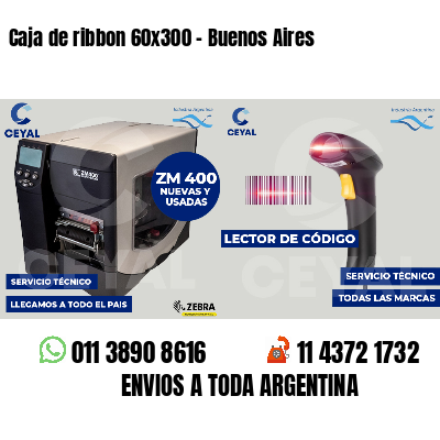 Caja de ribbon 60x300 - Buenos Aires