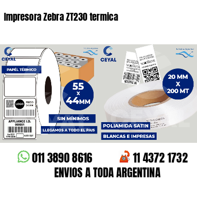 Impresora Zebra ZT230 termica