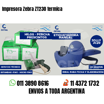 Impresora Zebra ZT230 termica