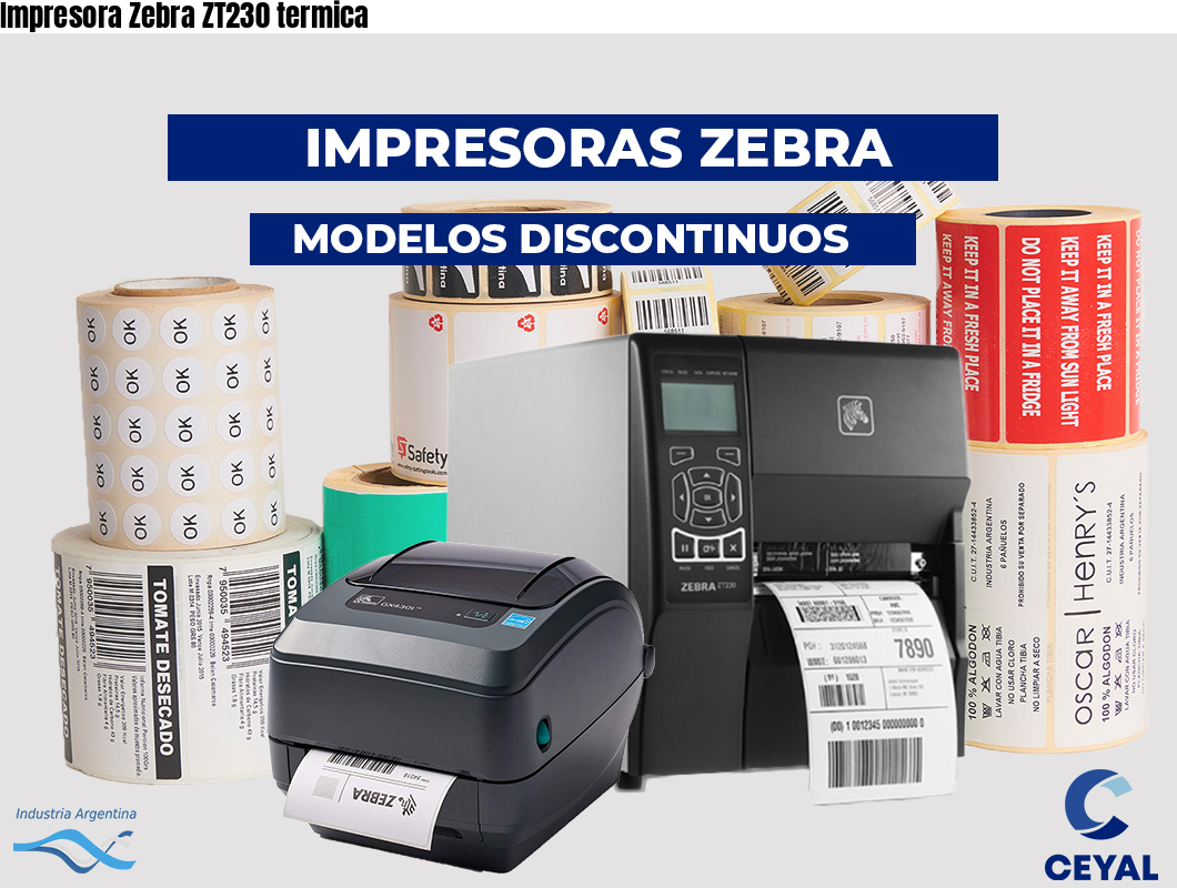 Impresora Zebra ZT230 termica