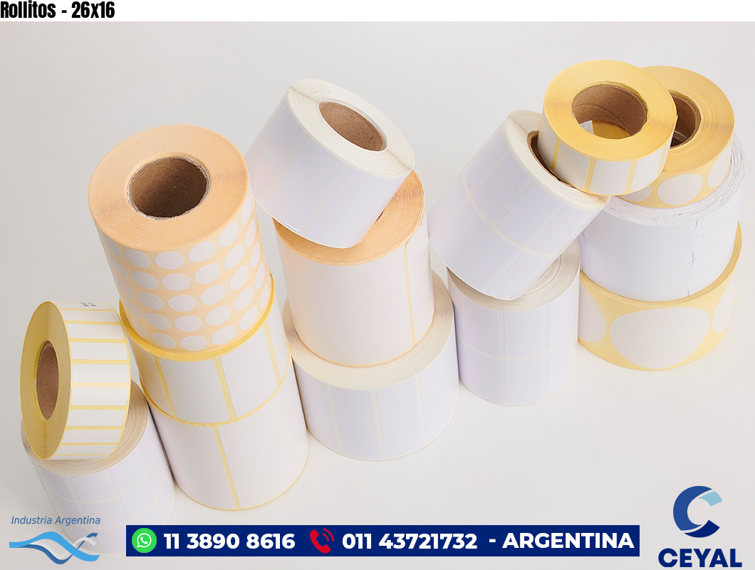 Rollitos - 26x16