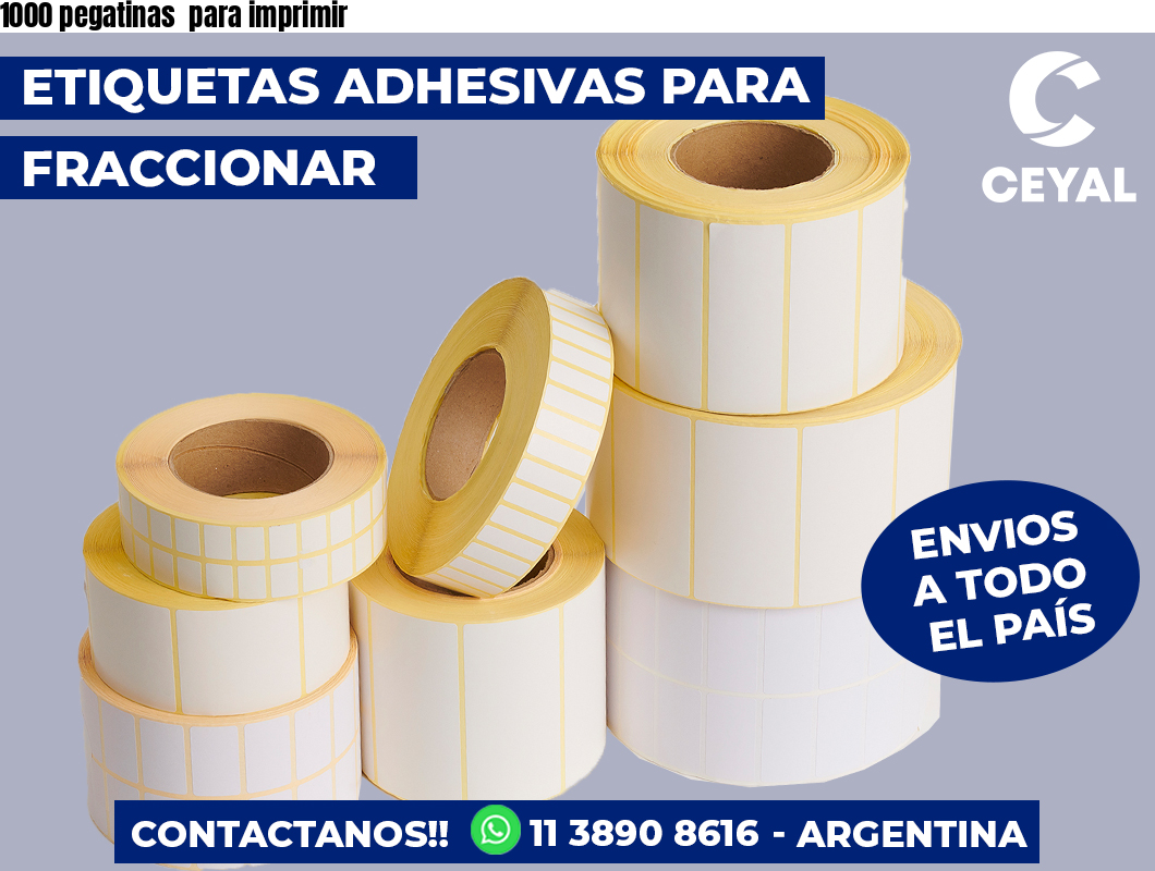 Avery Zweckfor 53751 - Pegatinas Para Niños, Odelo Con Avión, Efecto
