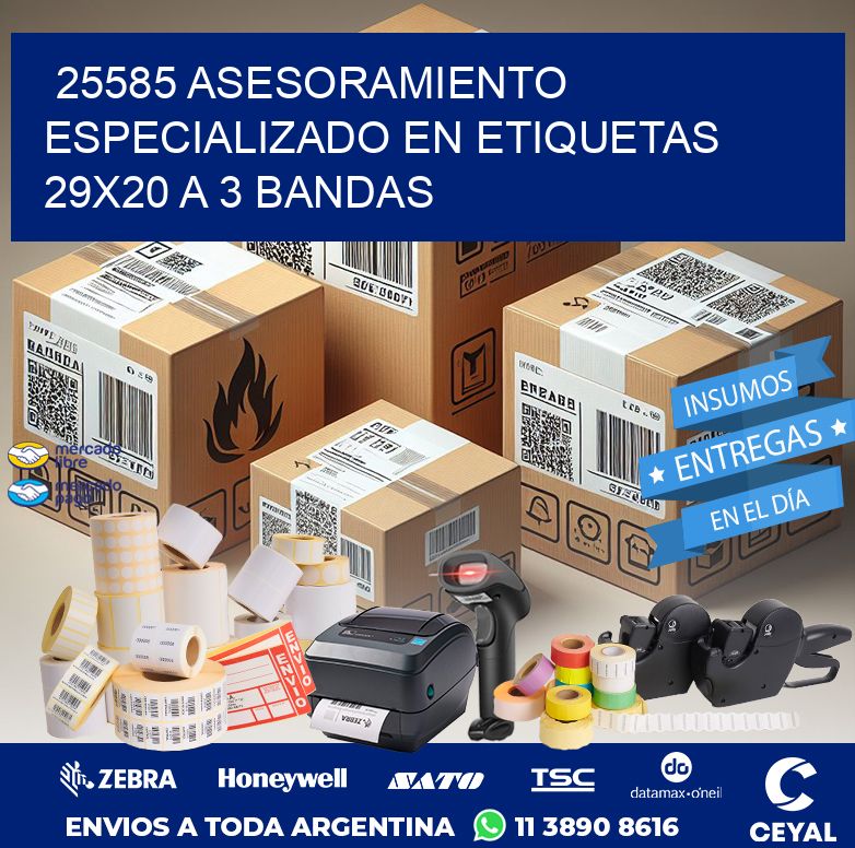 25585 ASESORAMIENTO ESPECIALIZADO EN ETIQUETAS 29X20 A 3 BANDAS