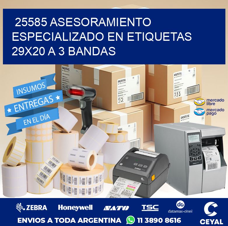 25585 ASESORAMIENTO ESPECIALIZADO EN ETIQUETAS 29X20 A 3 BANDAS