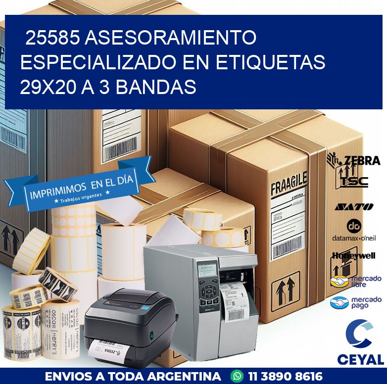 25585 ASESORAMIENTO ESPECIALIZADO EN ETIQUETAS 29X20 A 3 BANDAS