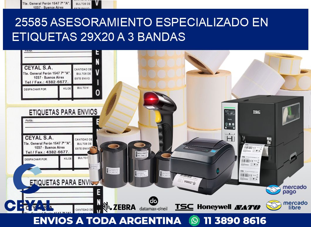 25585 ASESORAMIENTO ESPECIALIZADO EN ETIQUETAS 29X20 A 3 BANDAS