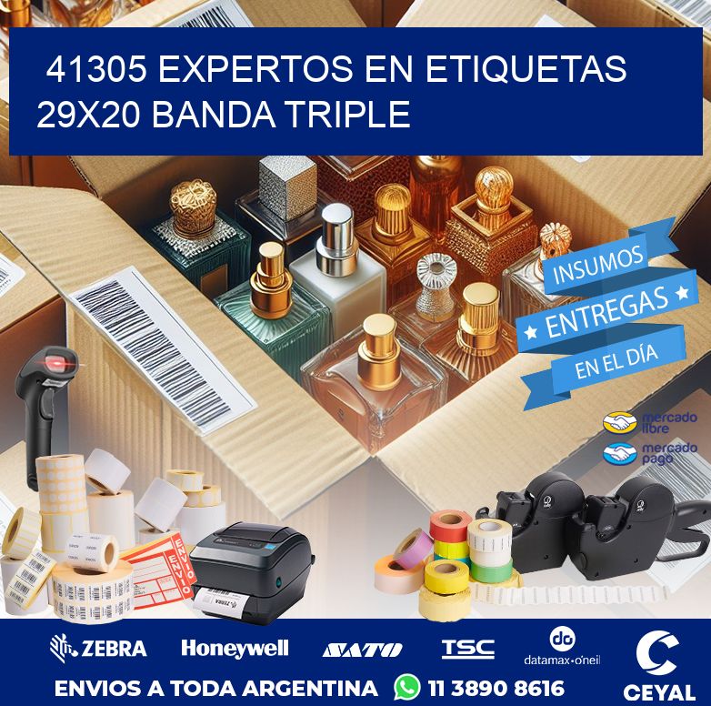 41305 EXPERTOS EN ETIQUETAS 29X20 BANDA TRIPLE