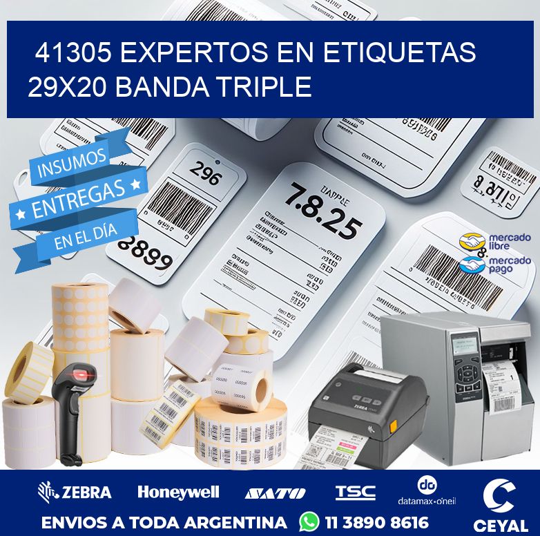 41305 EXPERTOS EN ETIQUETAS 29X20 BANDA TRIPLE