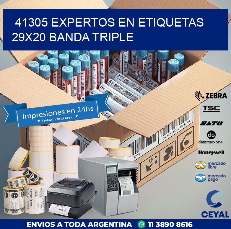 41305 EXPERTOS EN ETIQUETAS 29X20 BANDA TRIPLE