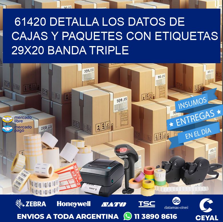61420 DETALLA LOS DATOS DE CAJAS Y PAQUETES CON ETIQUETAS 29X20 BANDA TRIPLE