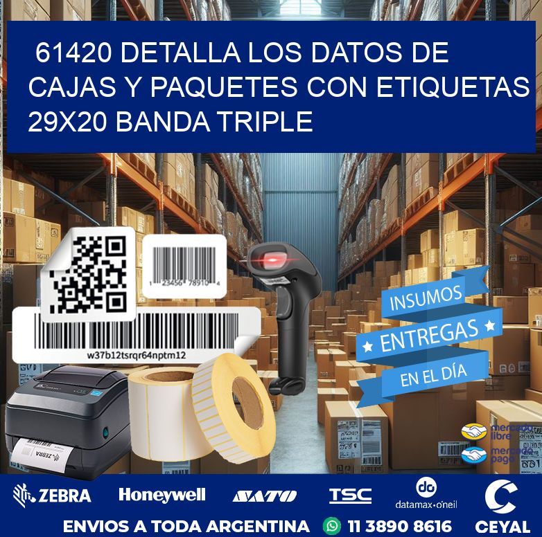 61420 DETALLA LOS DATOS DE CAJAS Y PAQUETES CON ETIQUETAS 29X20 BANDA TRIPLE