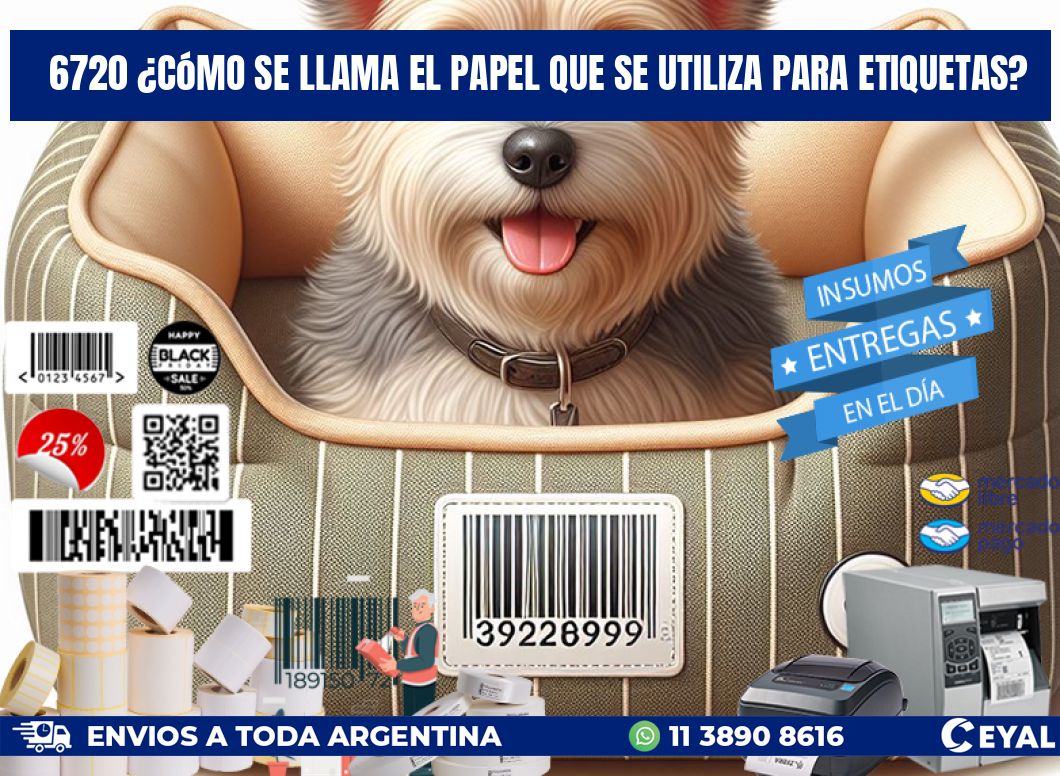 6720 ¿Cómo se llama el papel que se utiliza para etiquetas?