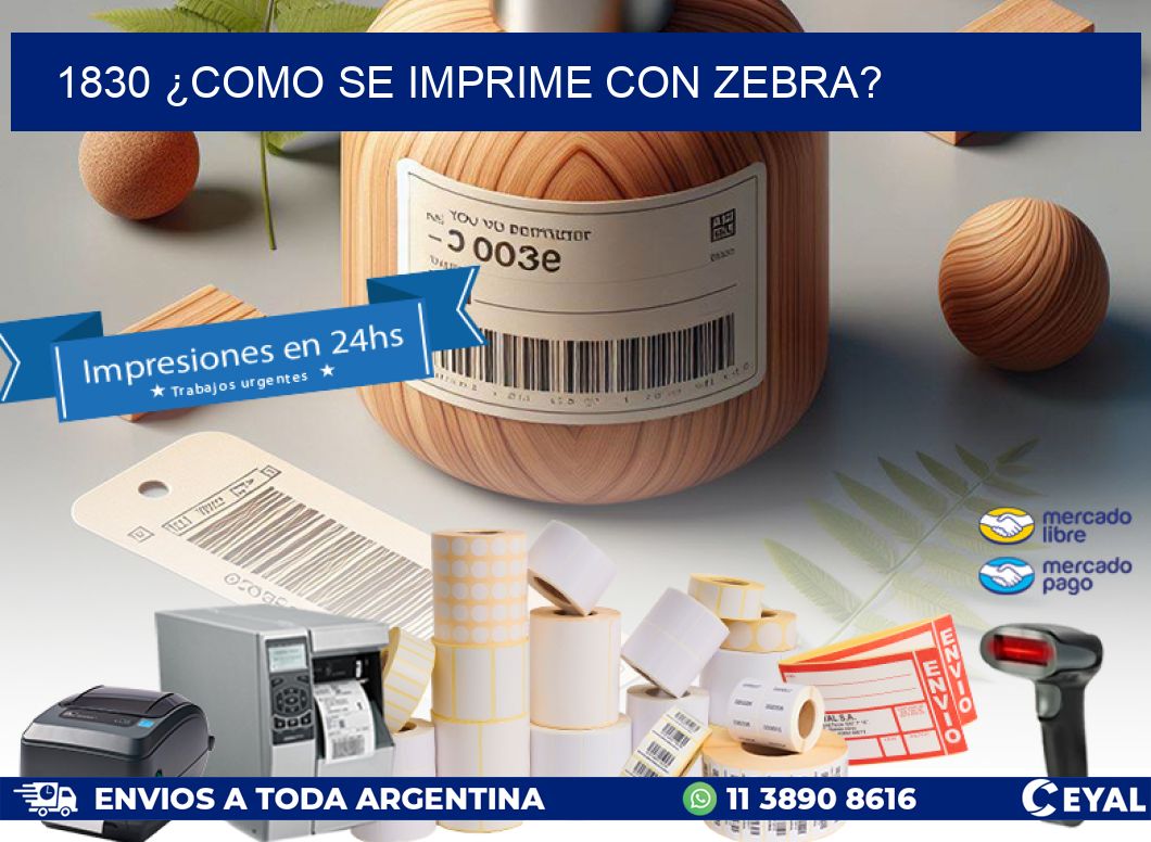 1830 ¿COMO SE IMPRIME CON ZEBRA?