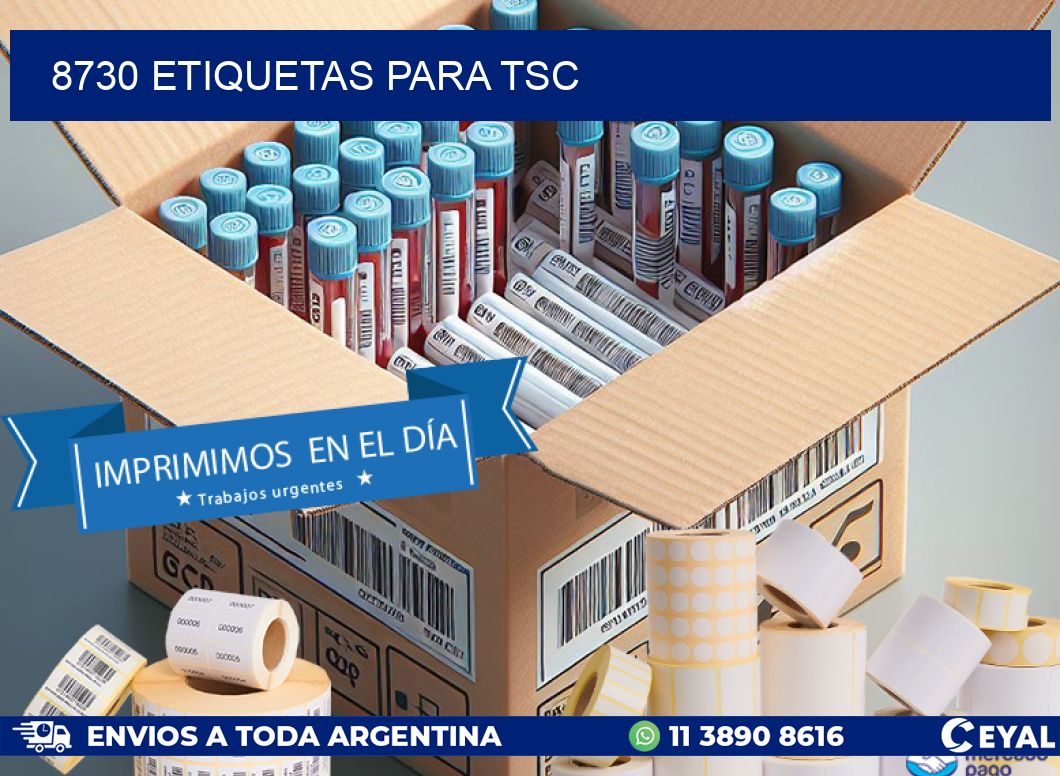 8730 ETIQUETAS PARA TSC