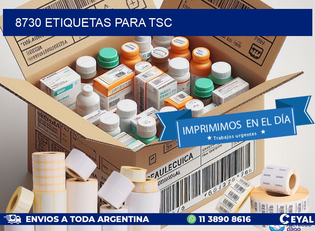 8730 ETIQUETAS PARA TSC