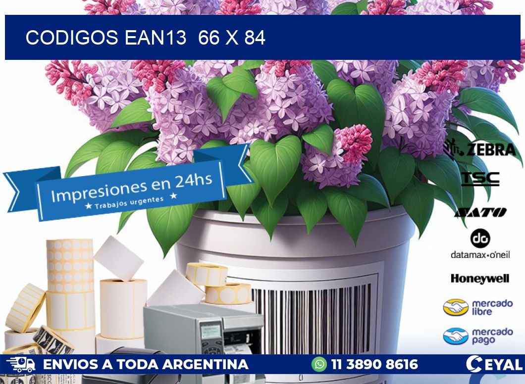 CODIGOS EAN13  66 x 84