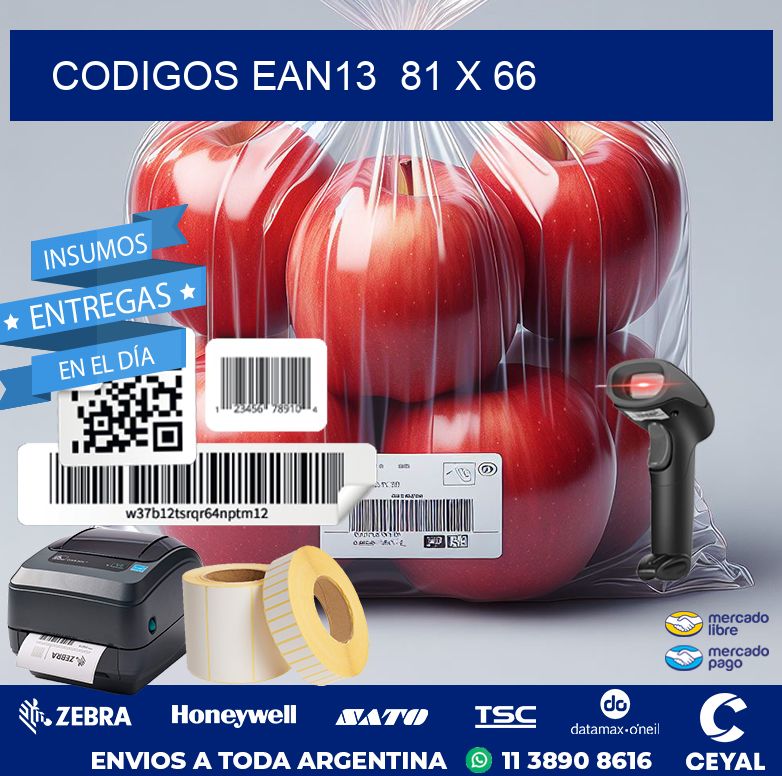 CODIGOS EAN13  81 x 66
