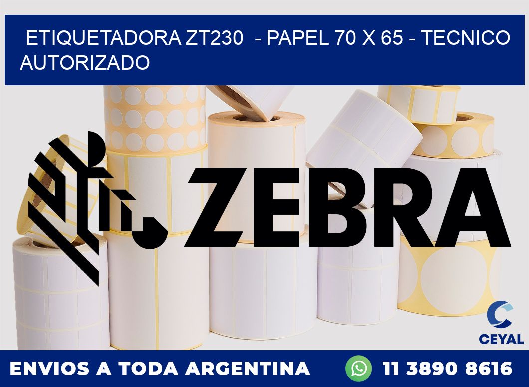 ETIQUETADORA ZT230 - PAPEL 70 x 65 - TECNICO AUTORIZADO